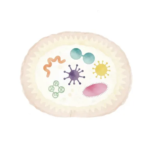 腸活 悩んでいる女性 画像